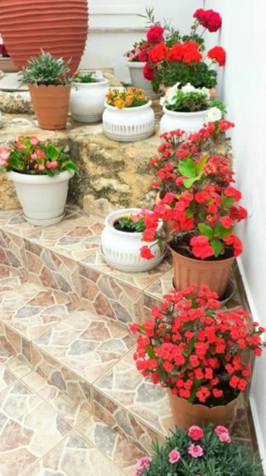 Newly Reconstructed Flat 107Sqm! Appartement Chania  Buitenkant foto