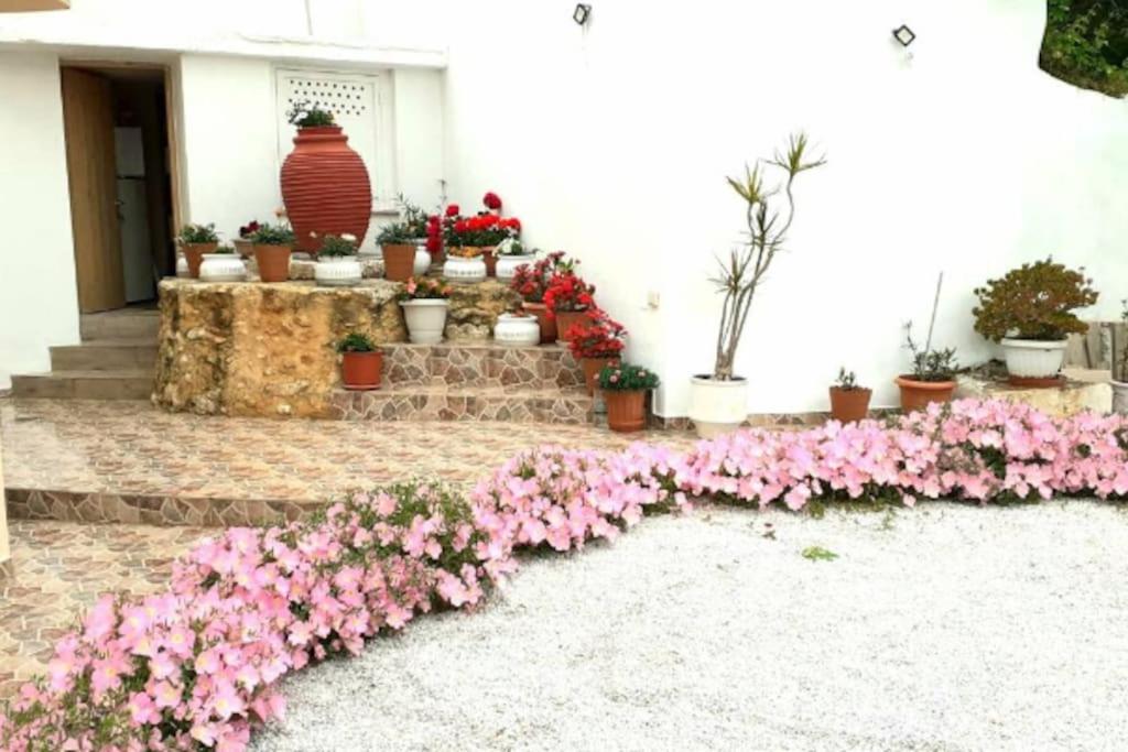 Newly Reconstructed Flat 107Sqm! Appartement Chania  Buitenkant foto